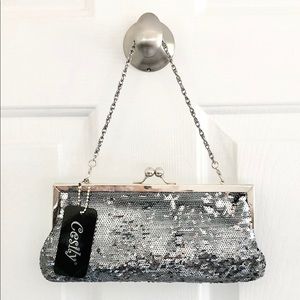 Silver sequenced purse